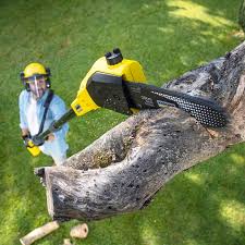 Best Grass Overseeding  in Mayflower Village, CA
